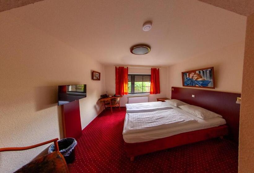 스탠다드 룸, West Hotel An Der Sächsischen Weinstrasse