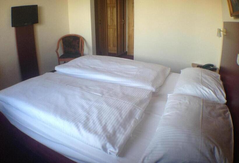 스탠다드 룸, West Hotel An Der Sächsischen Weinstrasse