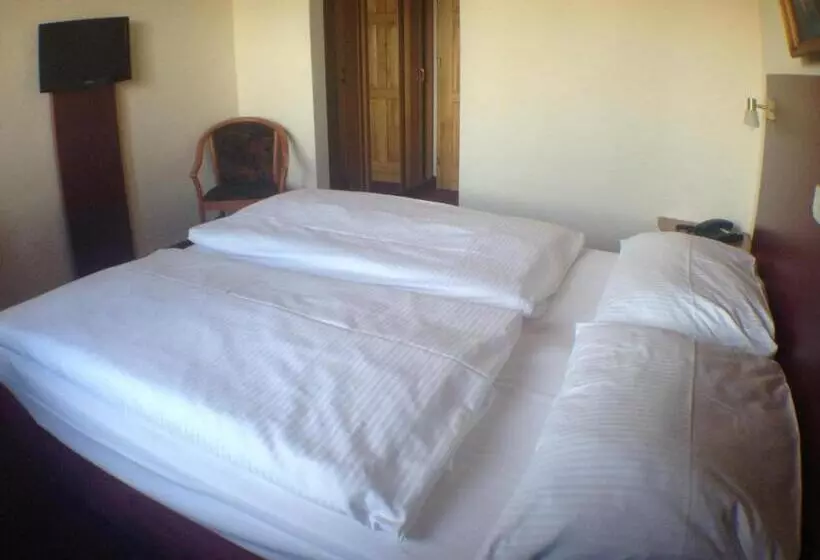 スタンダードルーム, West Hotel An Der Sächsischen Weinstrasse