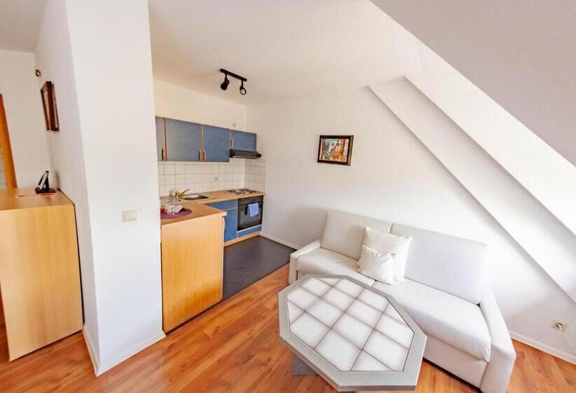 Апартаменты 1 Спальня, West Hotel An Der Sächsischen Weinstrasse