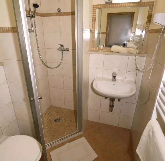 Standard Yhden Hengen Huone, Xundheits Hotel Garni Eckershof