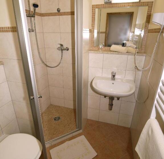 Апартаменты 1 Спальня, Xundheits Hotel Garni Eckershof