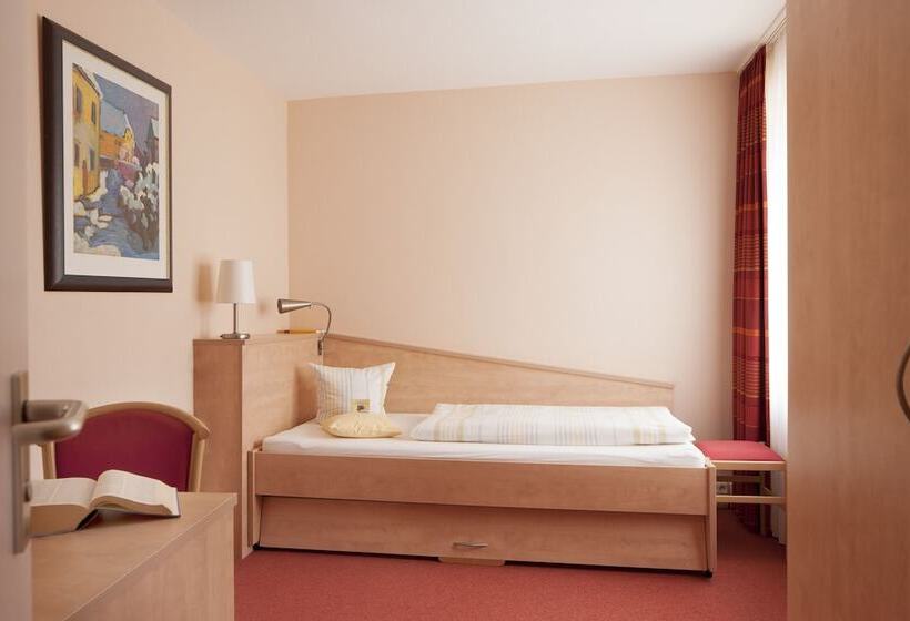 اتاق استاندارد یک نفره, Caritas Tagungszentrum