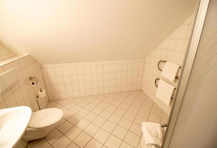 اتاق سوپریور خانوادگی, Fallersleber Spieker