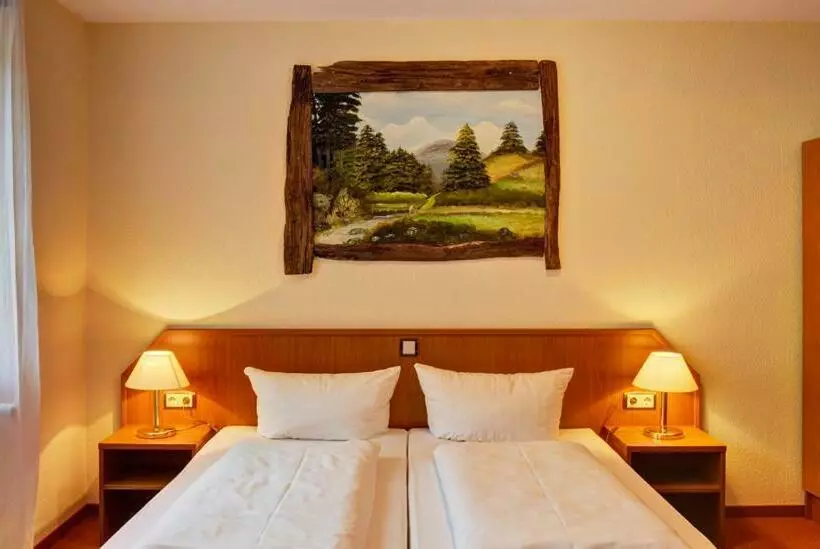 Standard Room, Harzlodge