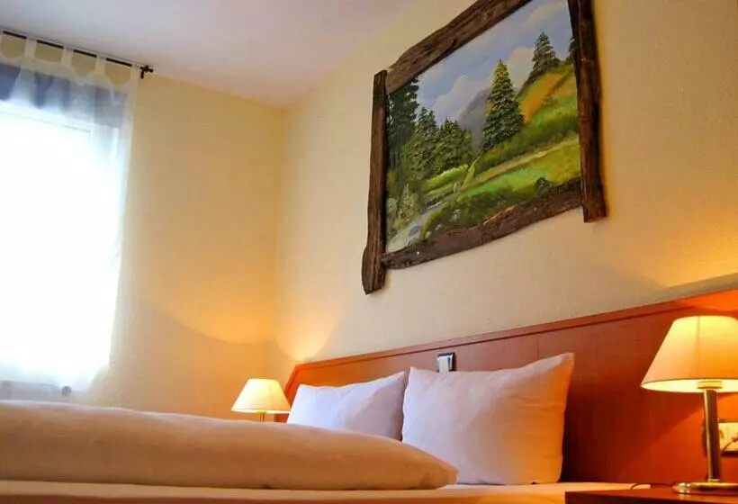 Standard Room, Harzlodge