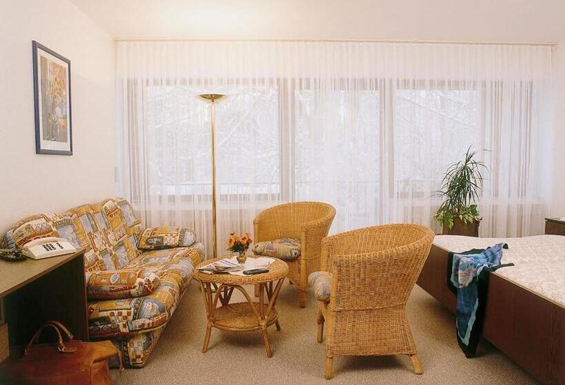 스탠다드 싱글 룸, Haus Koppelberg