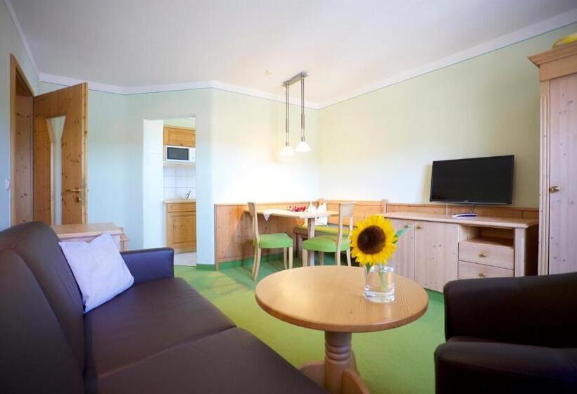 디럭스 룸, Salzburger Hof