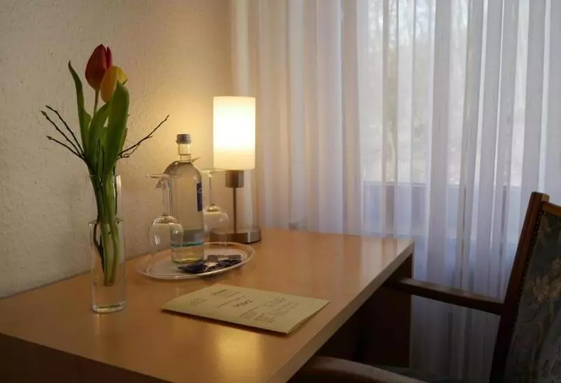 スタンダードシングルルーム, Restaurant Waldschlößchen