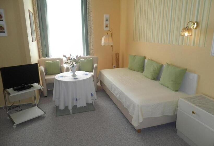 스탠다드 싱글 룸, Villa Zur Schönen Aussicht