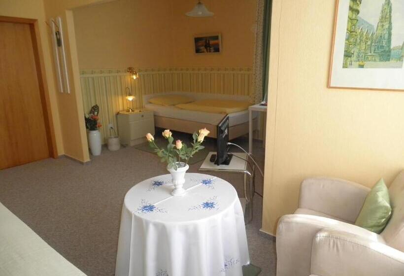 스탠다드 싱글 룸, Villa Zur Schönen Aussicht