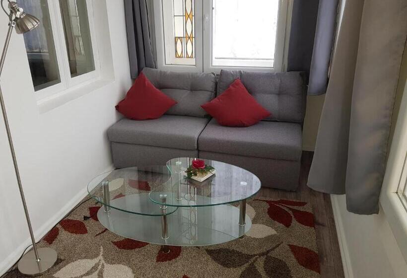 수피리어 룸, Villa Zur Schönen Aussicht