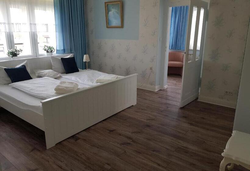 스탠다드 룸, Villa Zur Schönen Aussicht