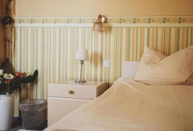 스탠다드 싱글 룸, Villa Zur Schönen Aussicht