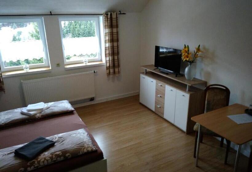 标准间, Greizer Kammhütte Gaststätte & Pension