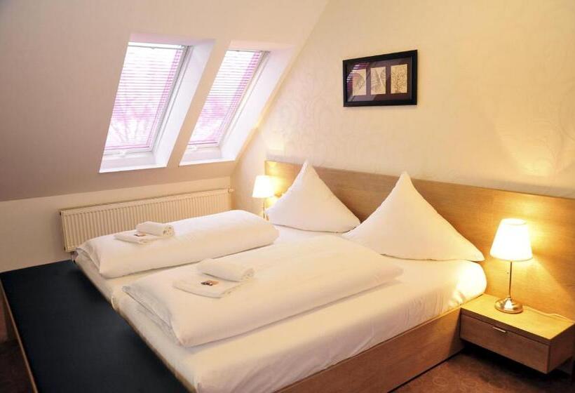 جناح جونيور, Bernstein Acamed Resort