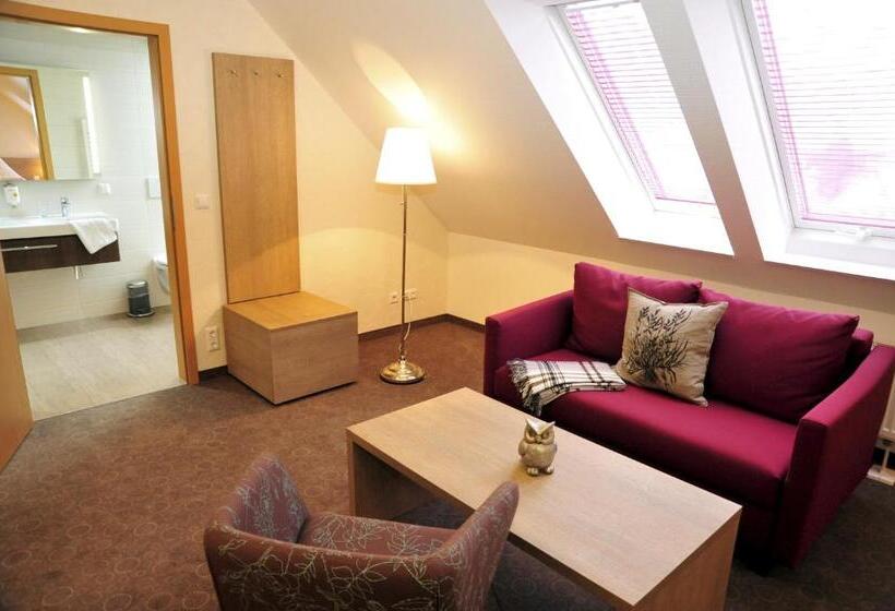 غرفة سوبيريور, Bernstein Acamed Resort