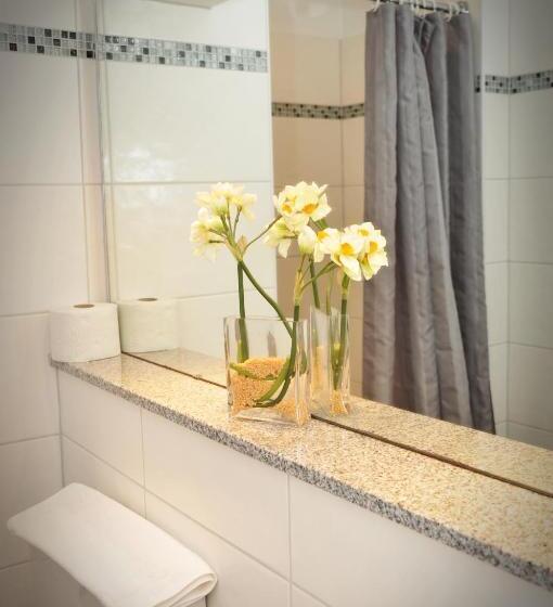 スタンダードルーム, Litjes