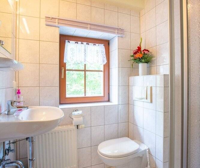 スタンダードシングルルーム, Pension Ferienhof Fischer