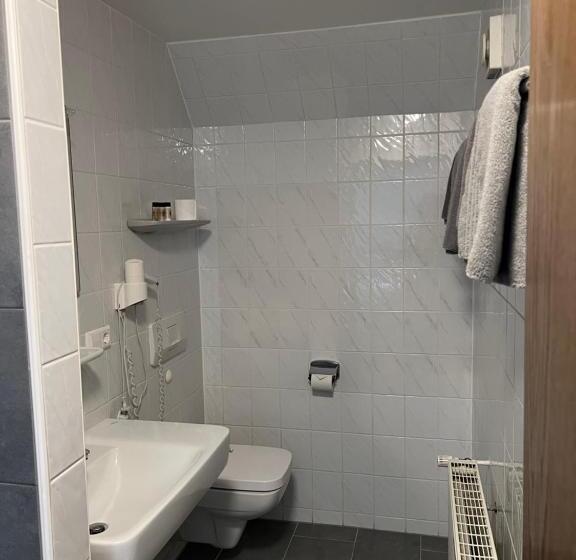 Номер Стандарт, Pension Lydia