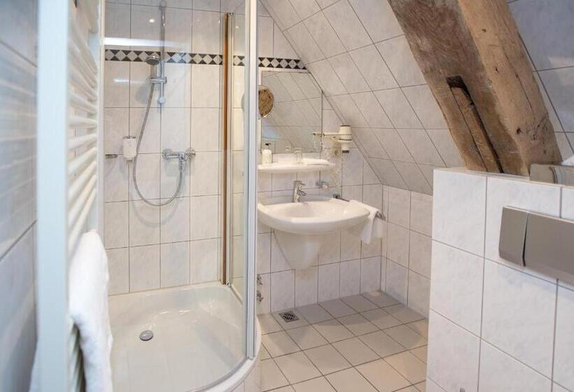 スタンダードシングルルーム, Romantik Parkhotel Wasserburg Anholt