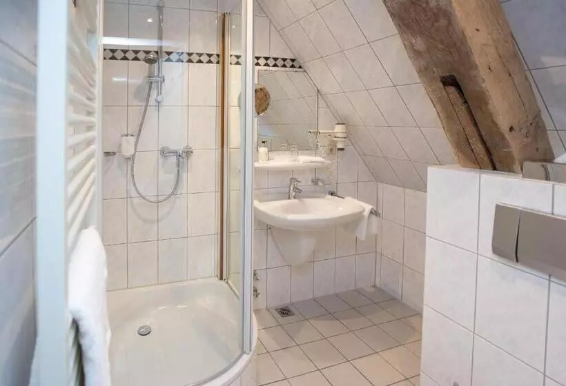 スタンダードシングルルーム, Romantik Parkhotel Wasserburg Anholt