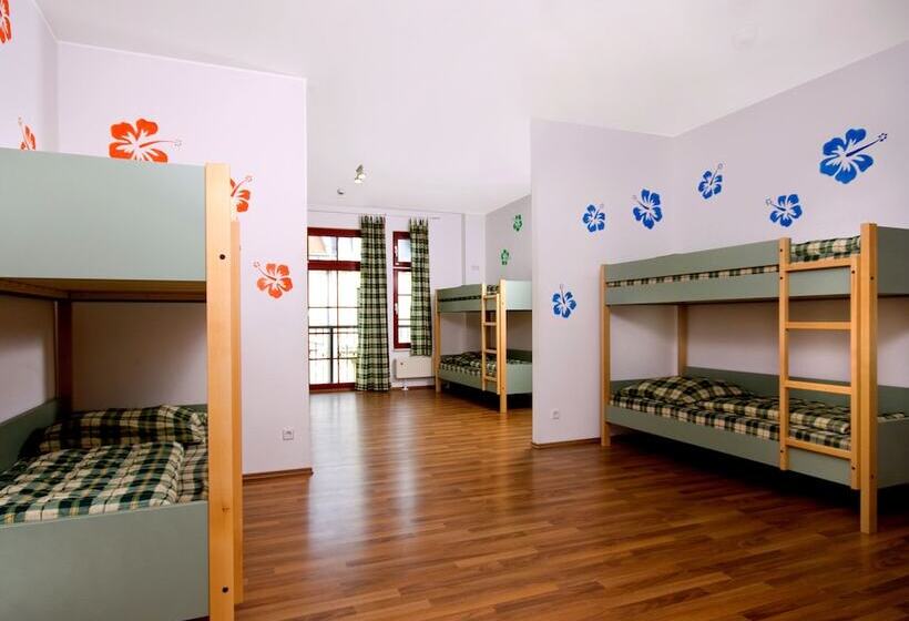 공동 객실, Sleepy Lion Hostel & Apartments Leipzig