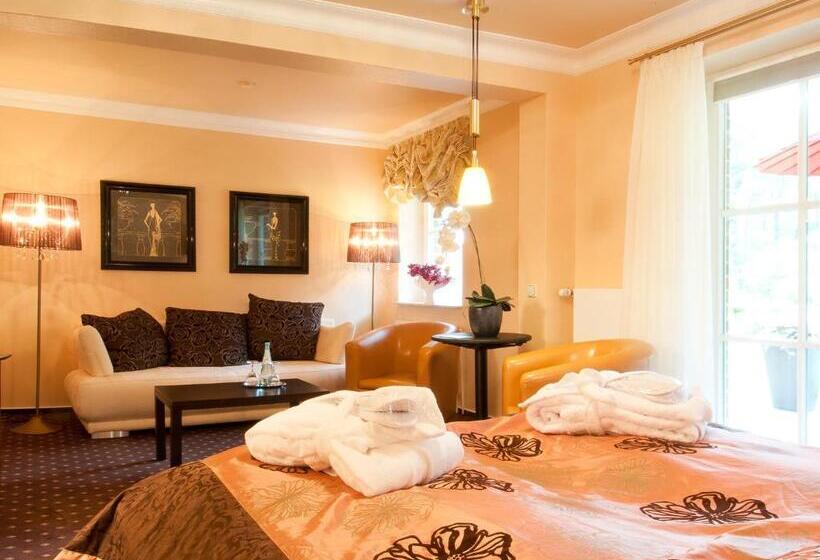 テラス付きジュニアスイート, Amethyst Hotel Garni Lüneburg