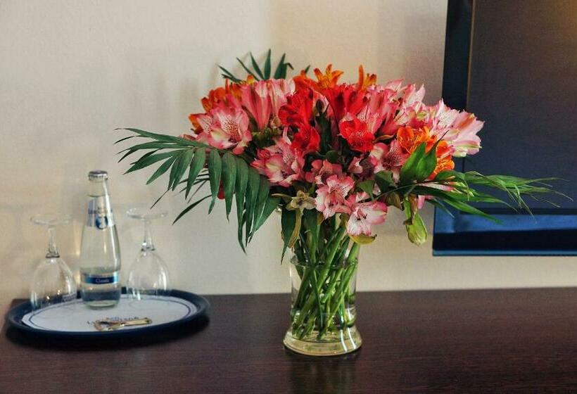 标准单人间, Bergwirtschaft Wilder Mann Hotel Und Restaurant