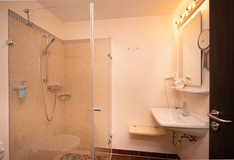 标准单人间, Bergwirtschaft Wilder Mann Hotel Und Restaurant