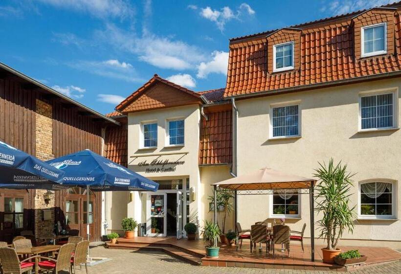 エコノミールーム, Am Schloßbrunnen Bad Muskau