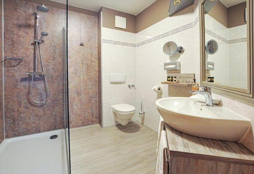 标准单人间, Grasberger Hof Gmbh