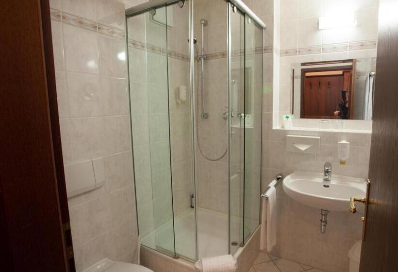 חדר סטנדרט יחיד, & Restaurant Klosterhof