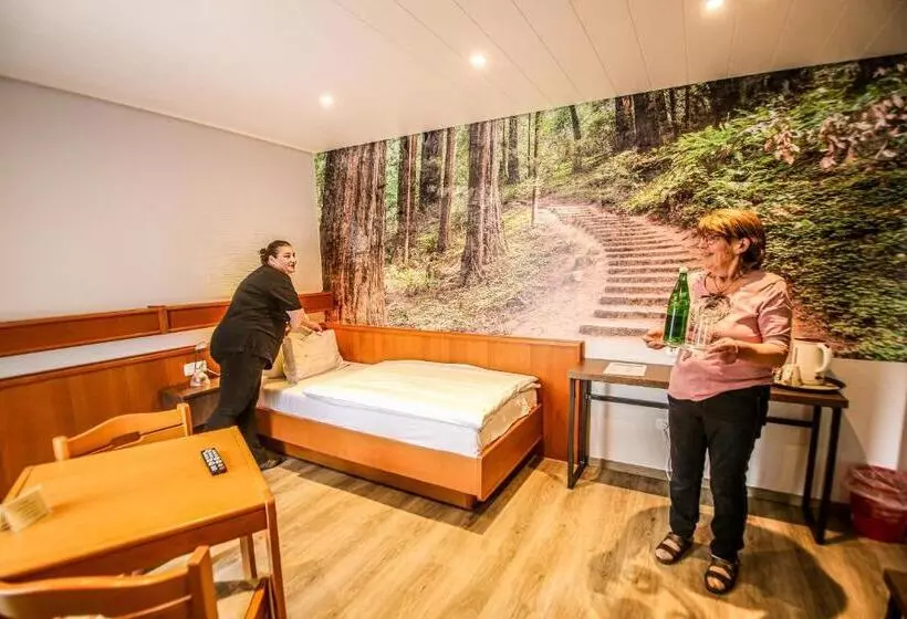 スタンダードシングルルーム, Landhotel Am Wenzelbach