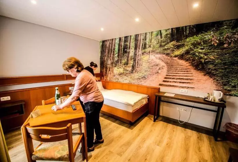 スタンダードシングルルーム, Landhotel Am Wenzelbach