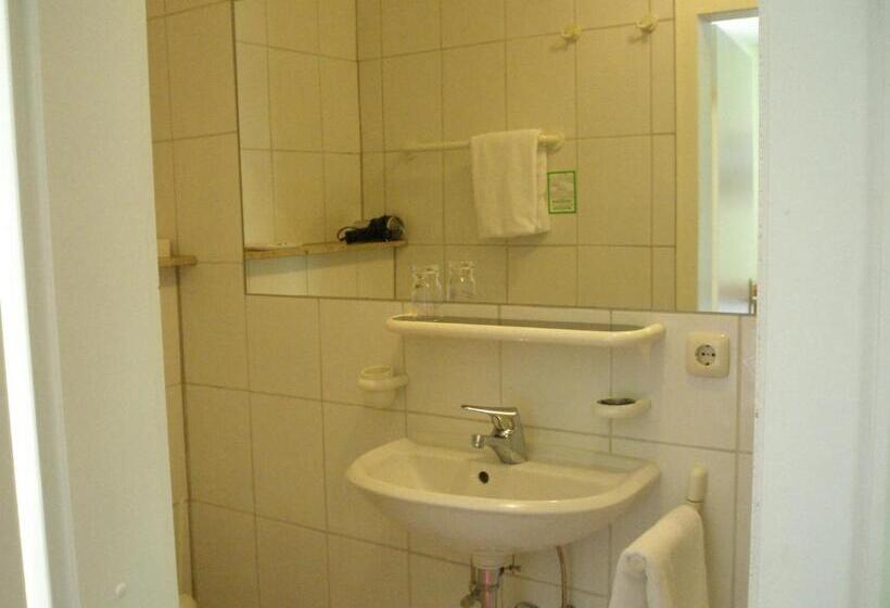 غرفة قياسية فردية, Landhotel Am Wenzelbach