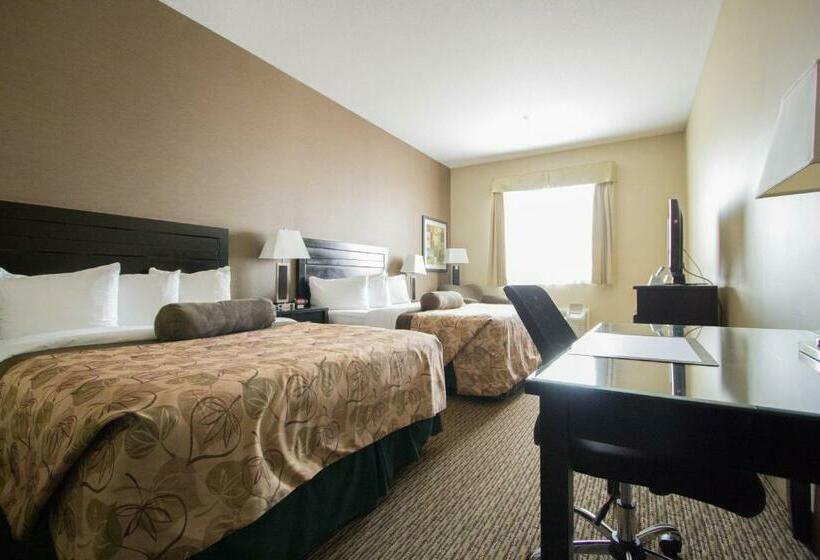 غرفة قياسية, Best Western Plus Estevan Inn & Suites