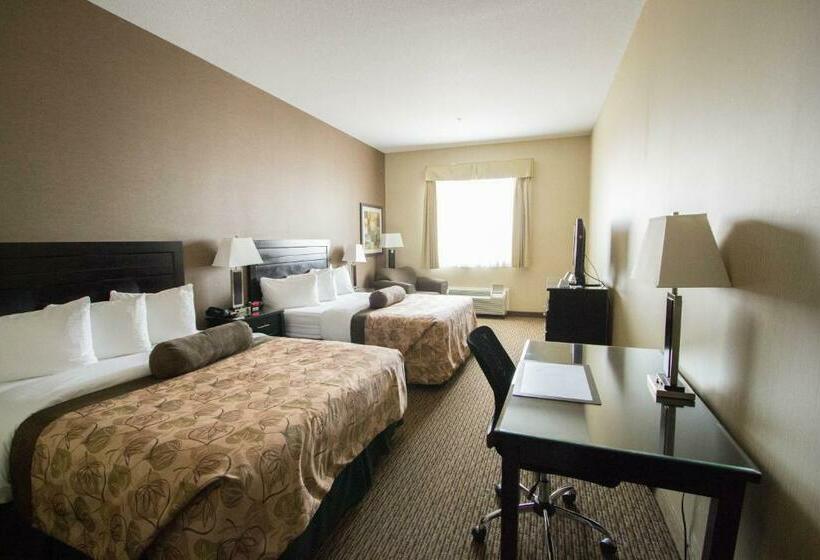Номер Стандарт, Best Western Plus Estevan Inn & Suites