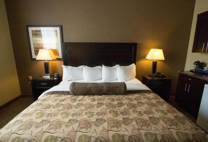 Стандартный Номер Кровать Кинг, Best Western Plus Estevan Inn & Suites