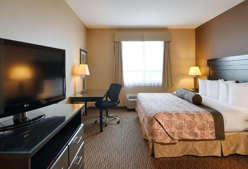 Стандартный Номер Кровать Кинг, Best Western Plus Estevan Inn & Suites