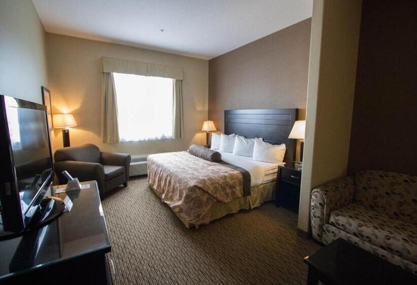 جناح سرير كينج, Best Western Plus Estevan Inn & Suites