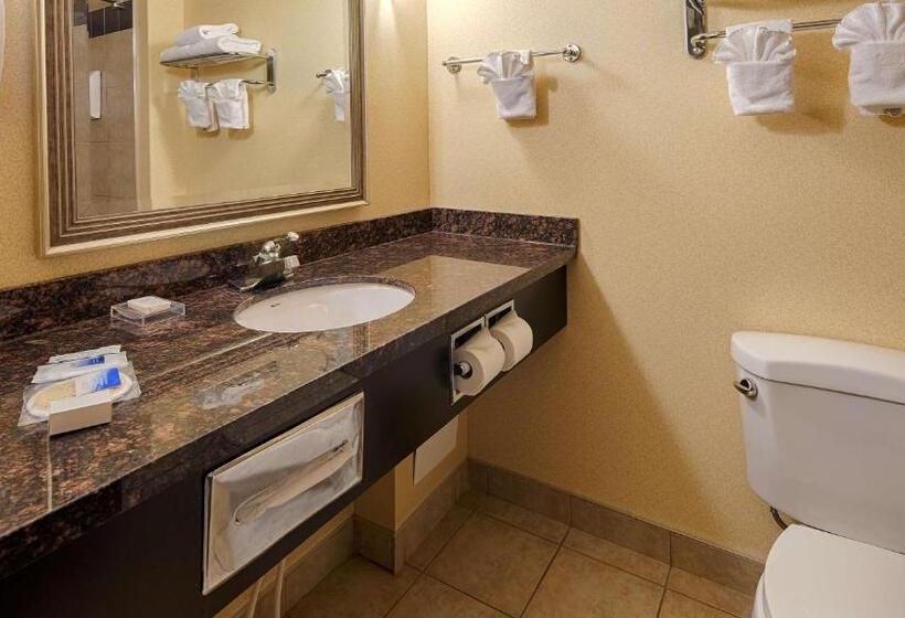 Люкс Кровать Кинг, Best Western Plus Estevan Inn & Suites