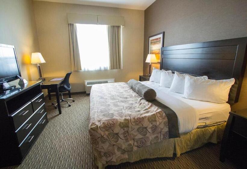 جناح ديلوكس, Best Western Plus Estevan Inn & Suites
