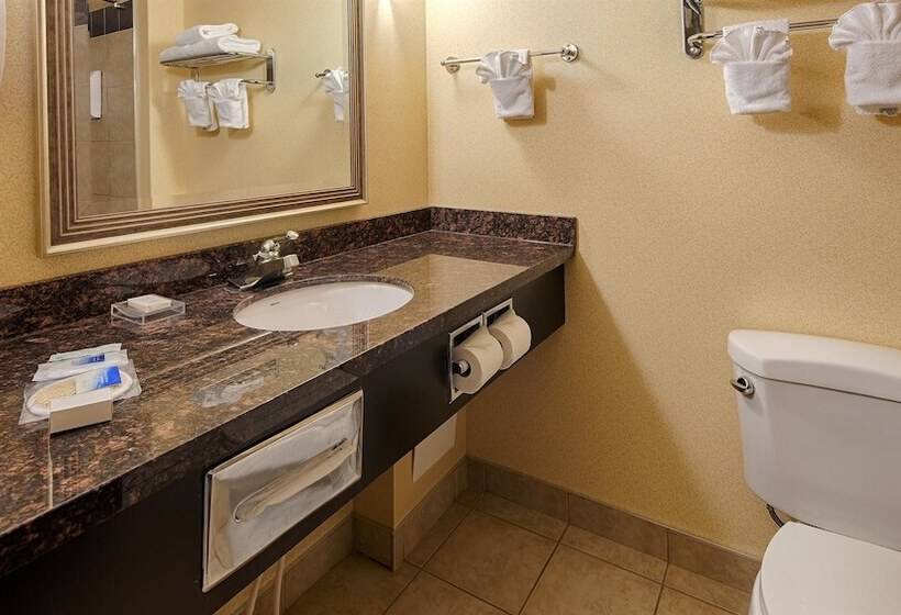 Номер Стандарт, Best Western Plus Estevan Inn & Suites