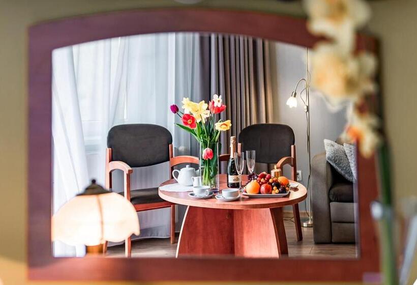 带1个卧室的公寓, Cis