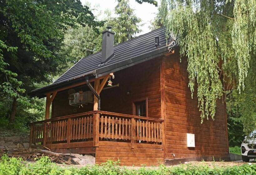 Шале 1 Спальня, Dwór Wapowce