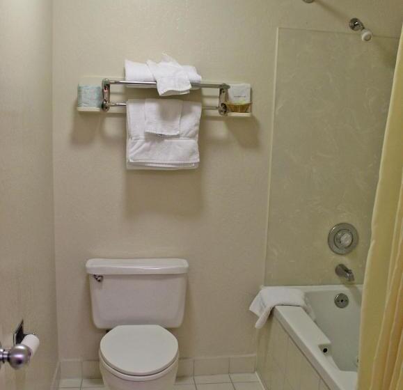 غرفة قياسية فردية, Hawthorne's Best Inn