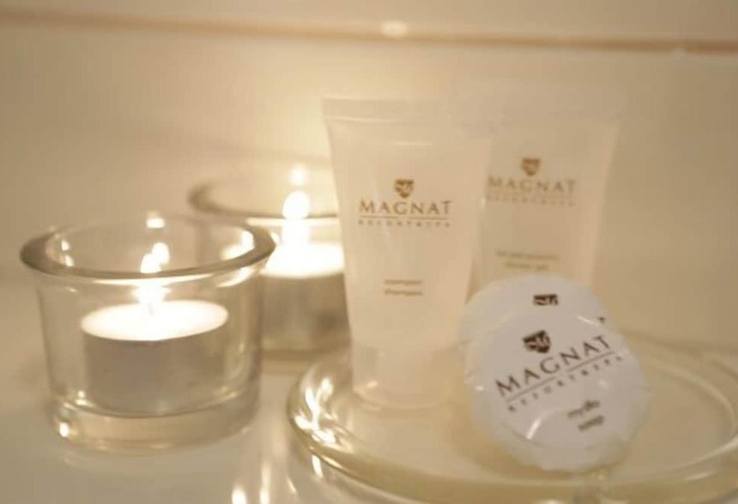 标准单人间, Magnat Resort & Spa