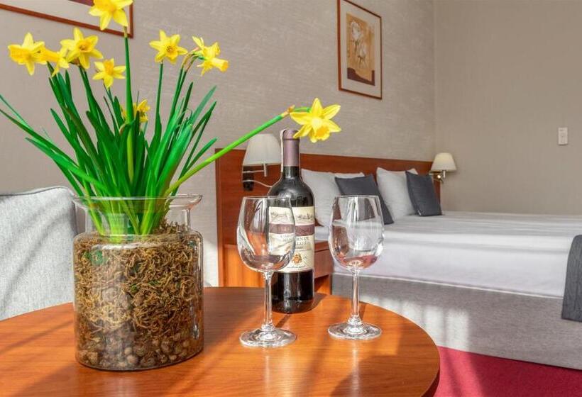 اتاق استاندارد سه نفره, Rigga