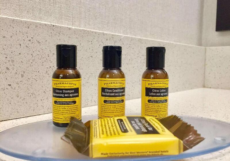 스탠다드 싱글 룸, Tinschert Hotel Restaurant Partyservice